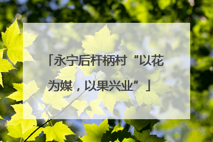 永宁后杆柄村“以花为媒，以果兴业”