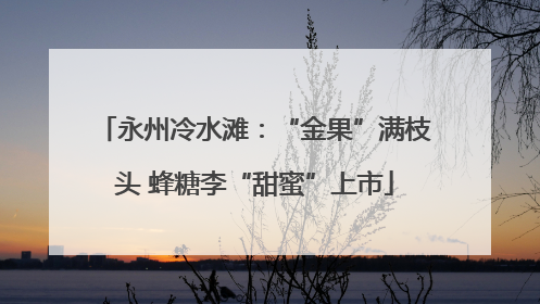 永州冷水滩：“金果”满枝头 蜂糖李“甜蜜”上市