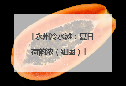 永州冷水滩：夏日荷韵浓（组图）
