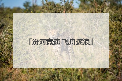 汾河竞速 飞舟逐浪