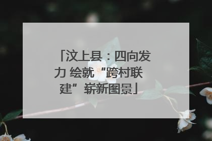 汶上县：四向发力 绘就“跨村联建”崭新图景