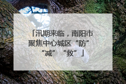 汛期来临，南阳市聚焦中心城区“防”“减”“救”