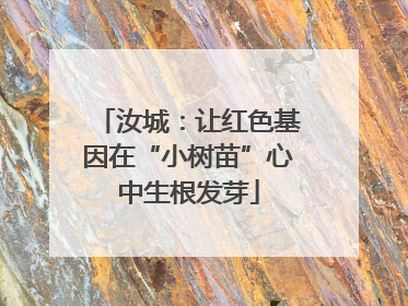 汝城：让红色基因在“小树苗”心中生根发芽
