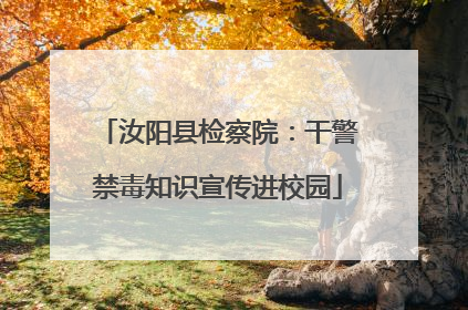 汝阳县检察院：干警禁毒知识宣传进校园