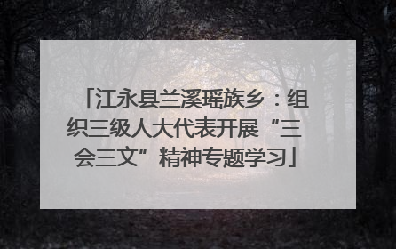 江永县兰溪瑶族乡：组织三级人大代表开展“三会三文”精神专题学习