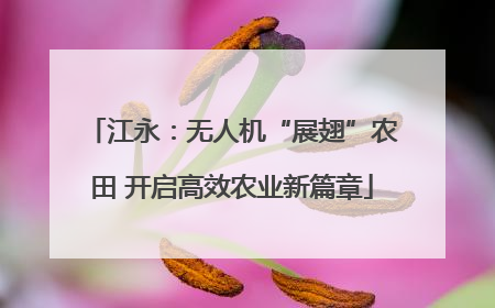 江永：无人机“展翅”农田 开启高效农业新篇章