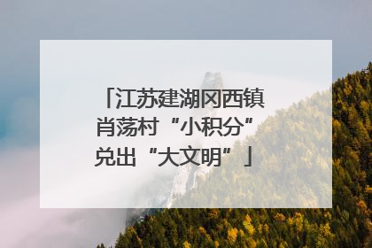 江苏建湖冈西镇肖荡村“小积分”兑出“大文明”