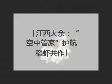 江西大余：“空中管家”护航稻虾共作