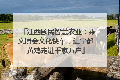 江西颐民智慧农业：乘文博会文化快车，让宁都黄鸡走进千家万户