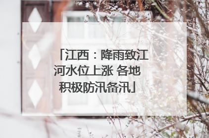 江西：降雨致江河水位上涨 各地积极防汛备汛