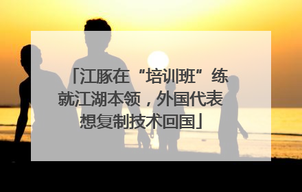 江豚在“培训班”练就江湖本领，外国代表想复制技术回国