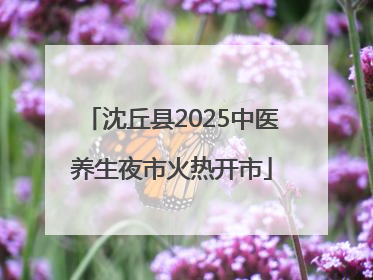沈丘县2025中医养生夜市火热开市
