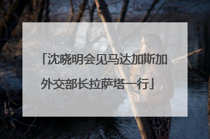 沈晓明会见马达加斯加外交部长拉萨塔一行