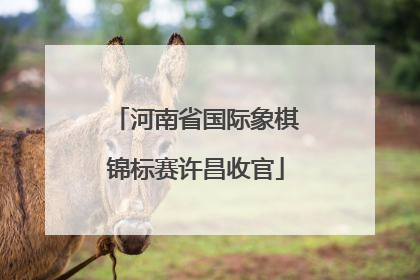 河南省国际象棋锦标赛许昌收官
