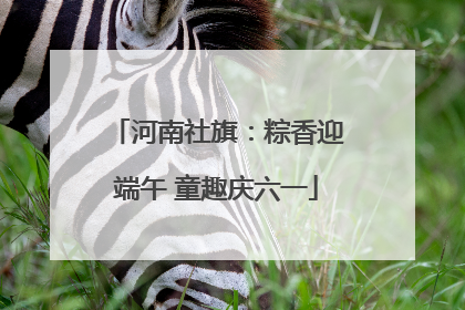 河南社旗：粽香迎端午 童趣庆六一