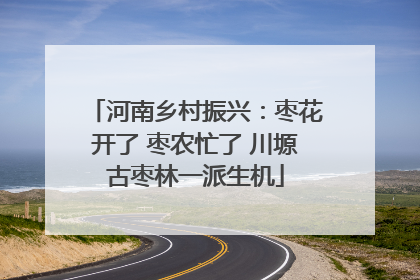 河南乡村振兴：枣花开了 枣农忙了 川塬古枣林一派生机