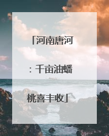 河南唐河：千亩油蟠桃喜丰收