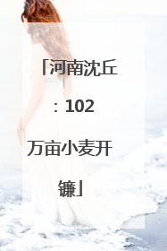 河南沈丘：102 万亩小麦开镰