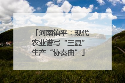 河南镇平：现代农业谱写“三夏”生产“协奏曲”