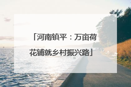 河南镇平：万亩荷花铺就乡村振兴路