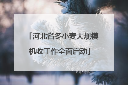河北省冬小麦大规模机收工作全面启动