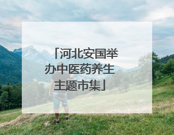 河北安国举办中医药养生主题市集