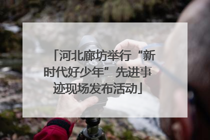 河北廊坊举行“新时代好少年”先进事迹现场发布活动