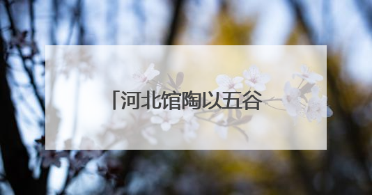 河北馆陶以五谷杂粮“绘就”魅力非遗引客来