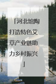河北馆陶打造特色艾草产业链助力乡村振兴