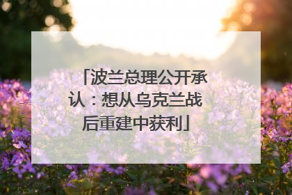 波兰总理公开承认：想从乌克兰战后重建中获利