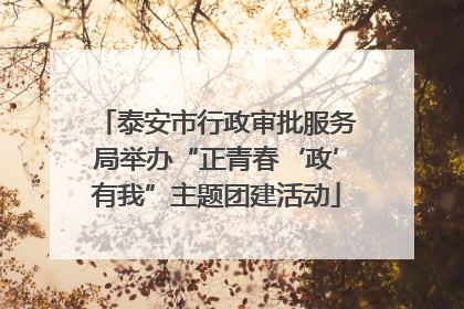 泰安市行政审批服务局举办“正青春‘政’有我”主题团建活动