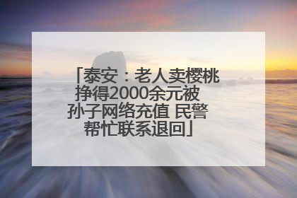 泰安：老人卖樱桃挣得2000余元被孙子网络充值 民警帮忙联系退回