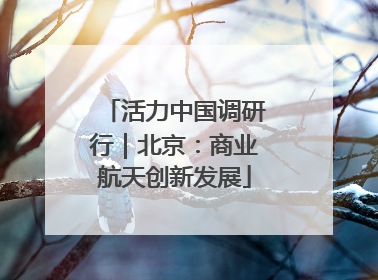 活力中国调研行｜北京：商业航天创新发展