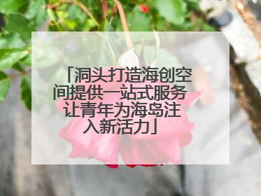 洞头打造海创空间提供一站式服务 让青年为海岛注入新活力