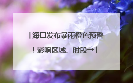海口发布暴雨橙色预警！影响区域、时段→