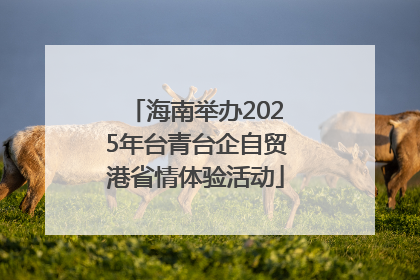 海南举办2025年台青台企自贸港省情体验活动