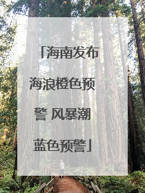 海南发布海浪橙色预警 风暴潮蓝色预警