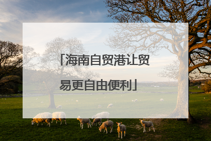 海南自贸港让贸易更自由便利