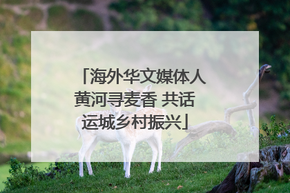 海外华文媒体人黄河寻麦香 共话运城乡村振兴