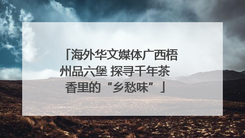 海外华文媒体广西梧州品六堡 探寻千年茶香里的“乡愁味”