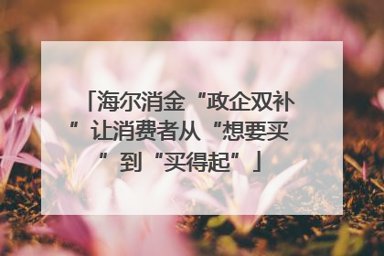 海尔消金“政企双补”让消费者从“想要买”到“买得起”