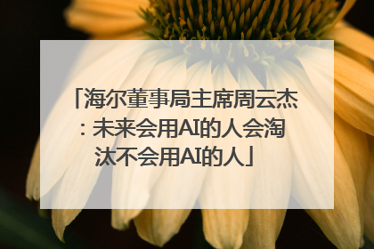 海尔董事局主席周云杰：未来会用AI的人会淘汰不会用AI的人