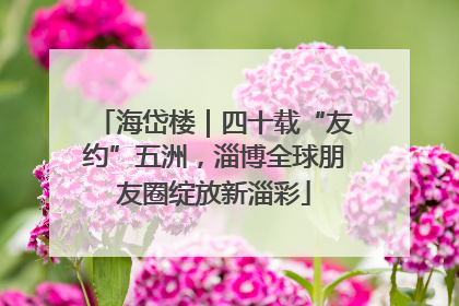 海岱楼｜四十载“友约”五洲，淄博全球朋友圈绽放新淄彩