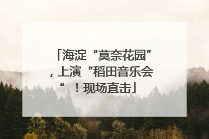 海淀“莫奈花园”，上演“稻田音乐会”！现场直击