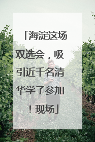 海淀这场双选会，吸引近千名清华学子参加！现场