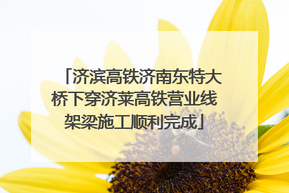 济滨高铁济南东特大桥下穿济莱高铁营业线架梁施工顺利完成