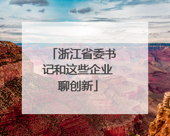 浙江省委书记和这些企业聊创新
