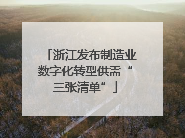 浙江发布制造业数字化转型供需“三张清单”