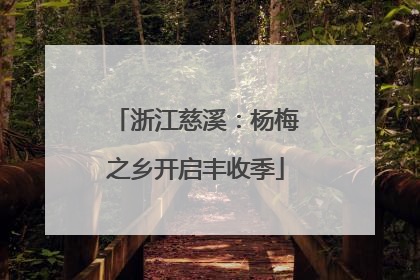 浙江慈溪：杨梅之乡开启丰收季