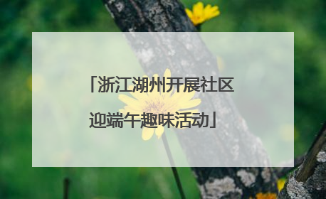 浙江湖州开展社区迎端午趣味活动
